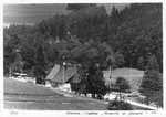 8n40sw1_1943_Gasthaus zur Schwingerei_v.jpg